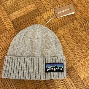Patagonia Beanie